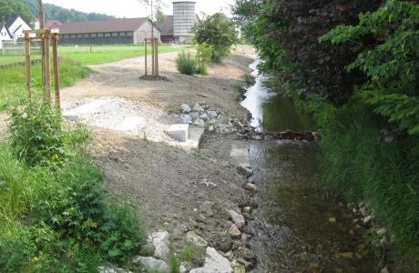 Ökologischer Gewässerausbau Schwarzach