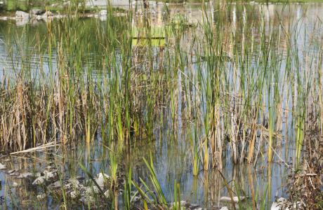 Park mit See „Supply-Center“, Augsburg-Kriegshaber 