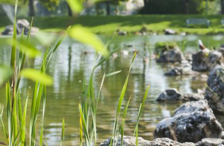 Park mit See „Supply-Center“, Augsburg-Kriegshaber 