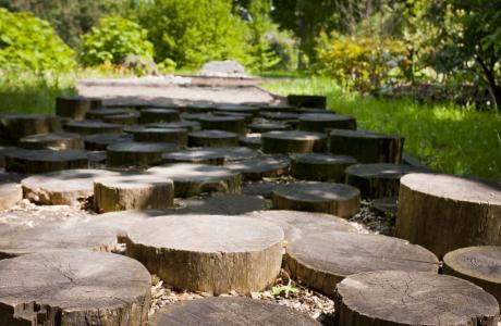 Park der Sinne und Arboretum im Sport- und Freizeitpark, Königsbrunn